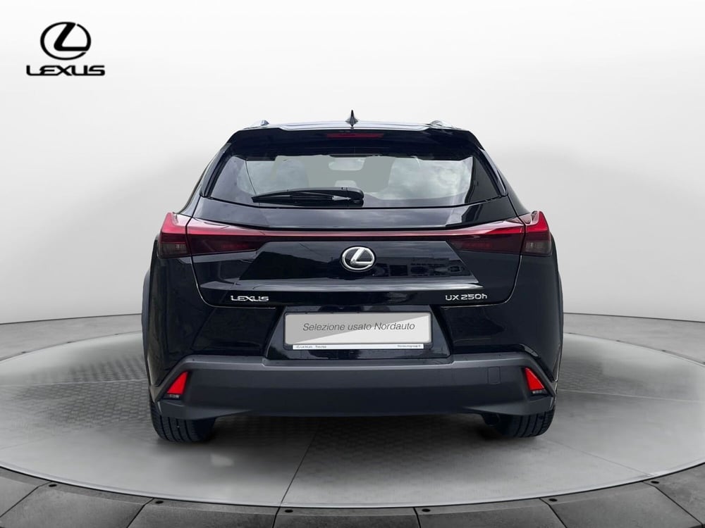 Lexus UX usata a Treviso (5)