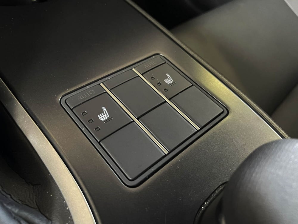 Lexus UX usata a Treviso (16)