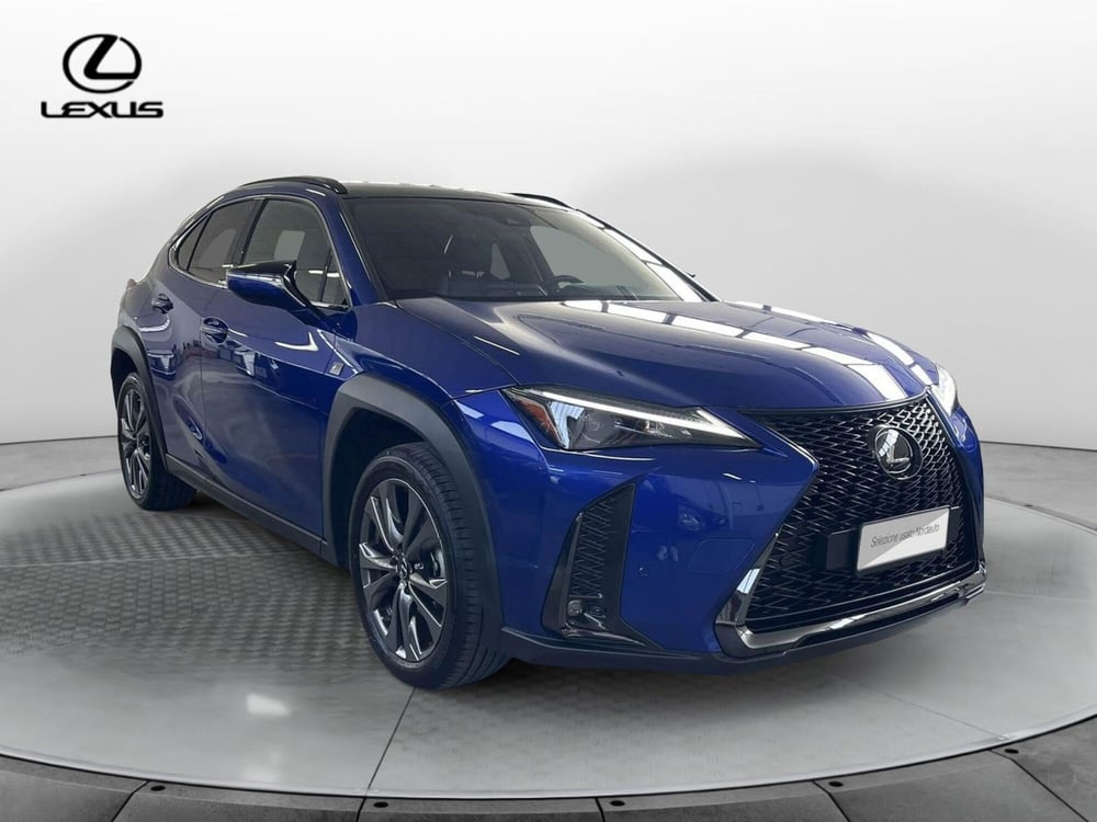 Lexus UX usata a Treviso (3)