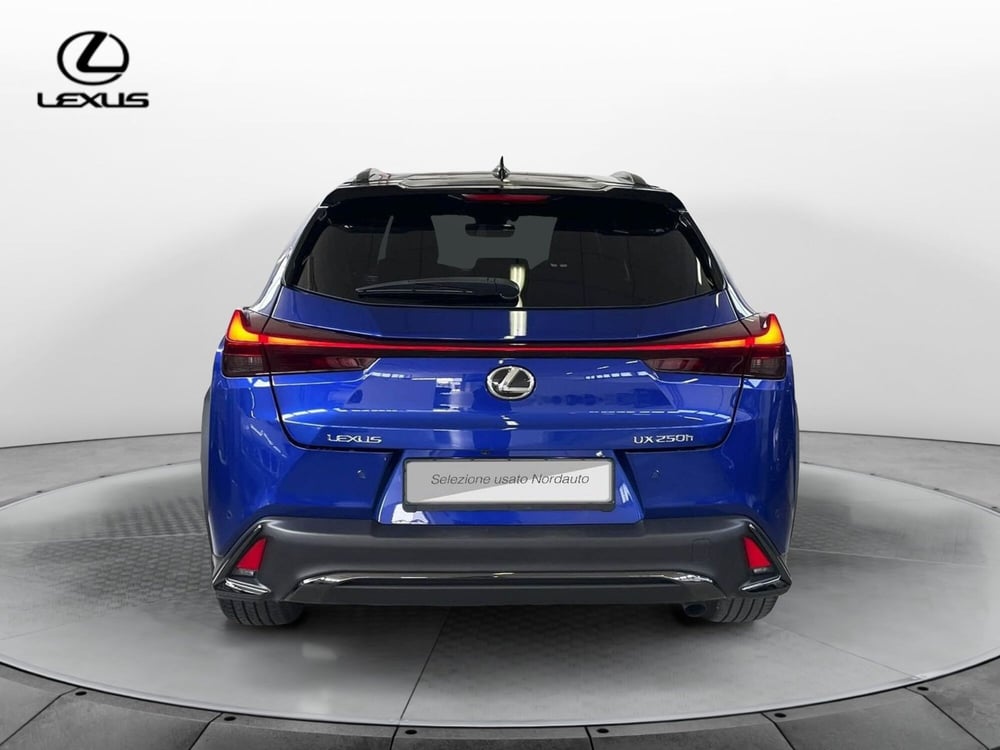 Lexus UX usata a Treviso (6)