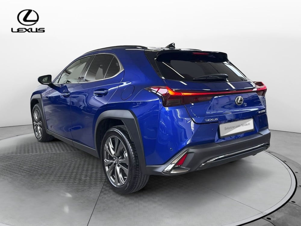 Lexus UX usata a Treviso (7)