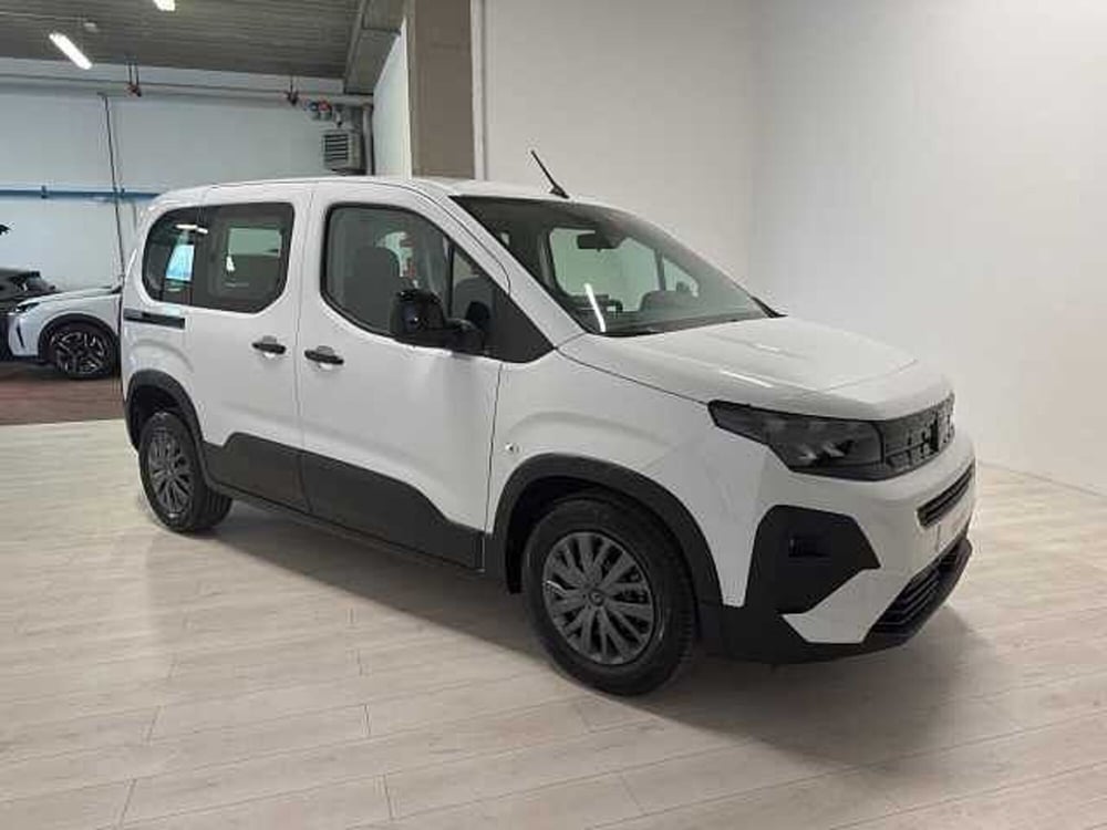 Peugeot Rifter nuova a Forlì-Cesena (4)