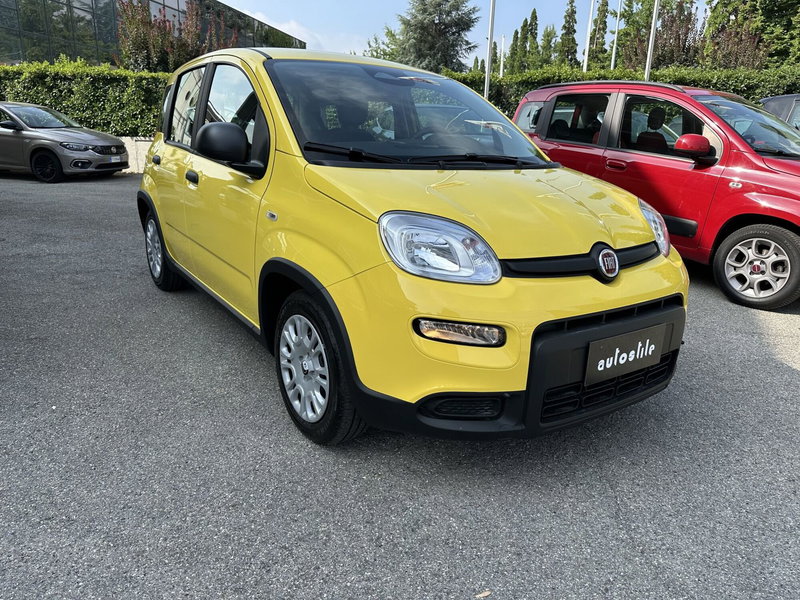 Fiat Panda Cross nuova a Reggio Emilia (2)
