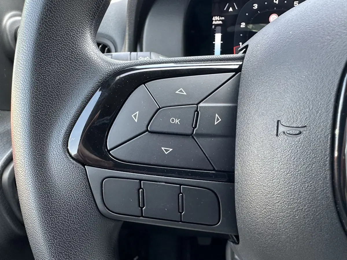 Fiat Panda Cross nuova a Reggio Emilia (8)