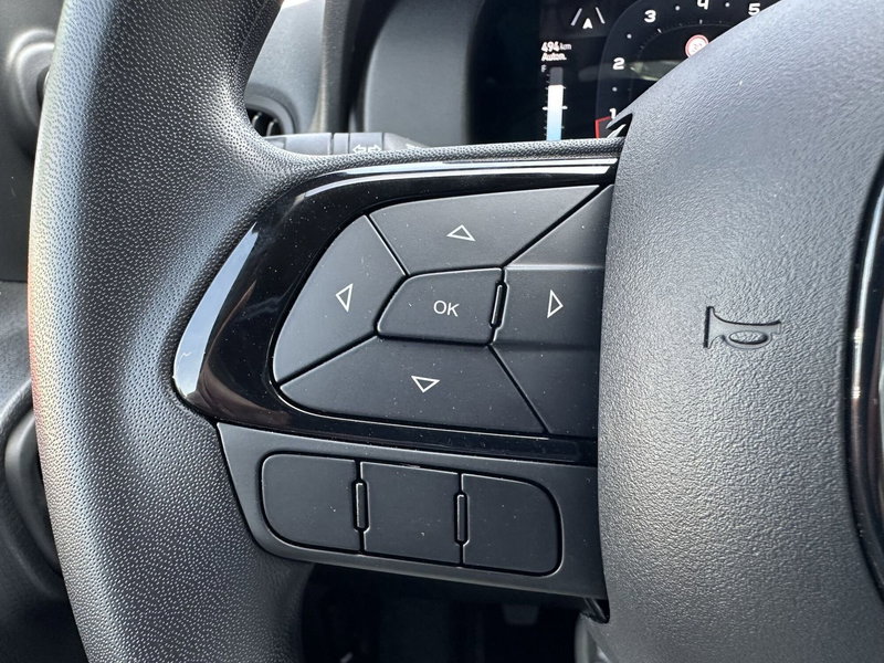 Fiat Panda Cross nuova a Reggio Emilia (8)