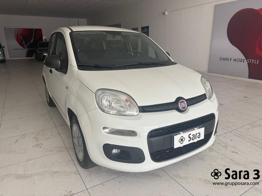 Fiat Panda usata a Benevento (2)