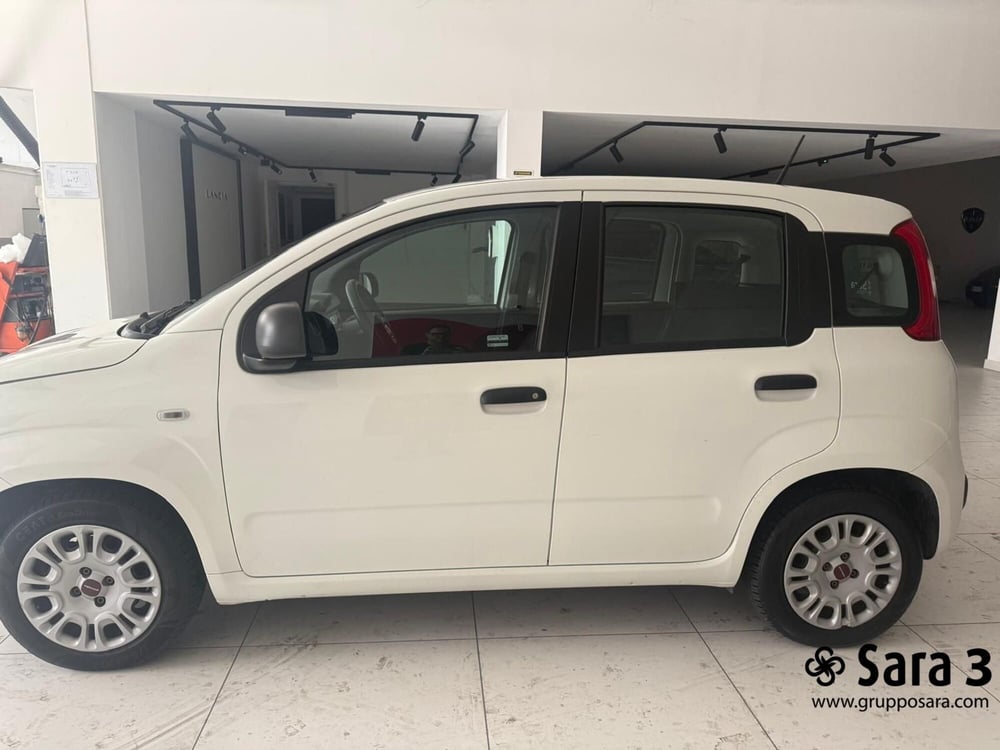 Fiat Panda usata a Benevento (4)