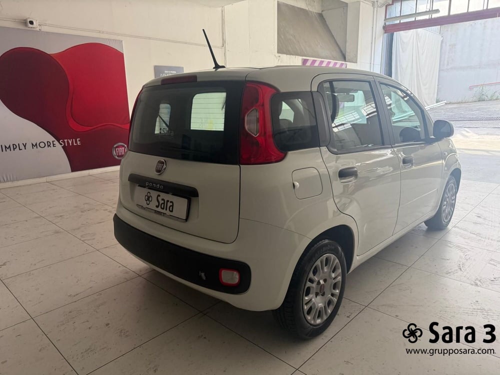 Fiat Panda usata a Benevento (7)