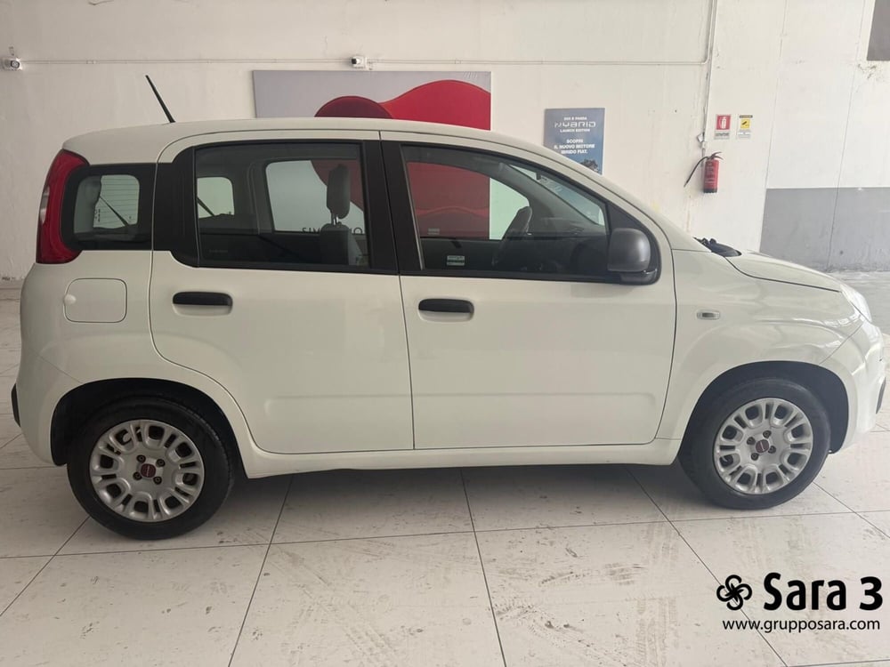 Fiat Panda usata a Benevento (8)