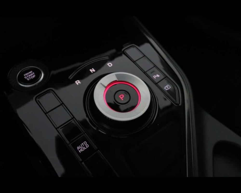 Kia Niro usata a Bologna (16)