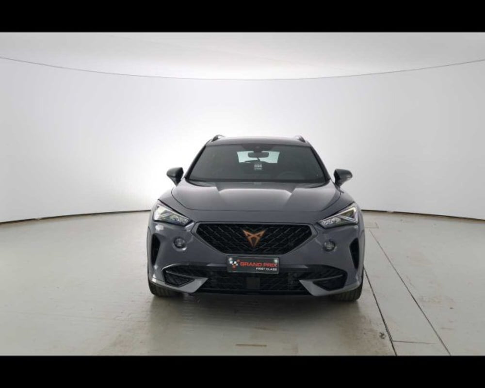 Cupra Formentor usata a Bologna (2)