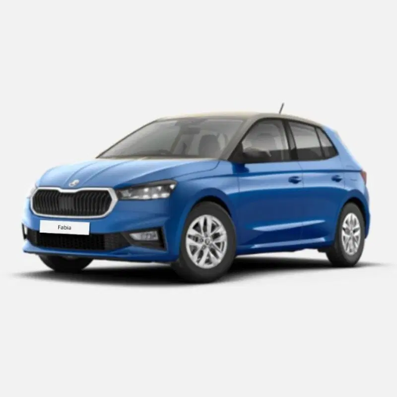 Skoda Fabia usata a Messina