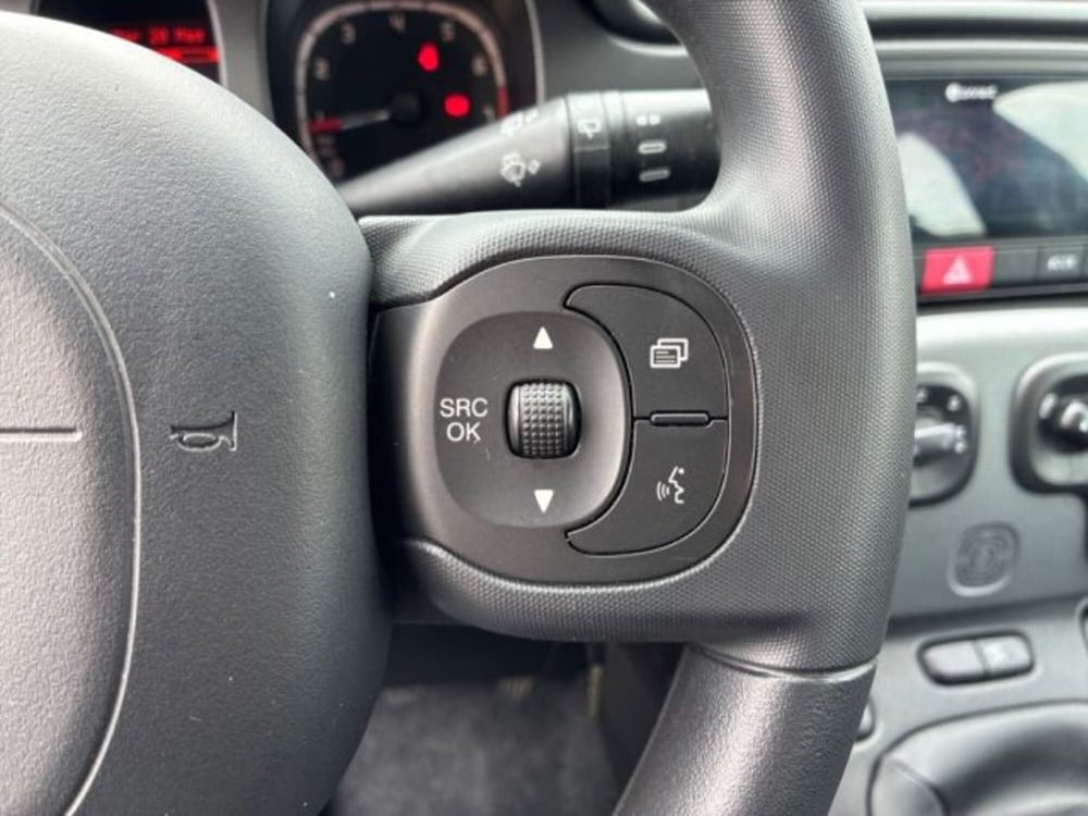 Fiat Panda Cross usata a Ancona (20)