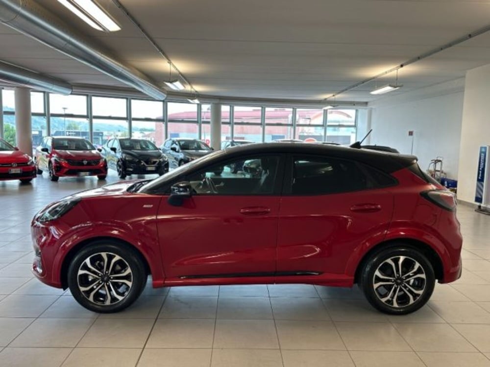 Ford Puma usata a Cuneo (4)