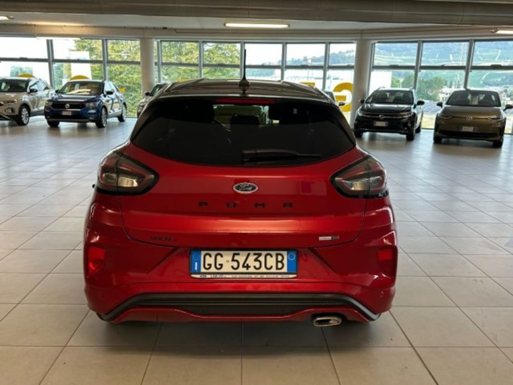 Ford Puma usata a Cuneo (6)