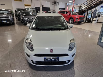 Fiat Punto 1.3 MJT II 75 CV 5 porte Easy del 2013 usata a Acqui Terme