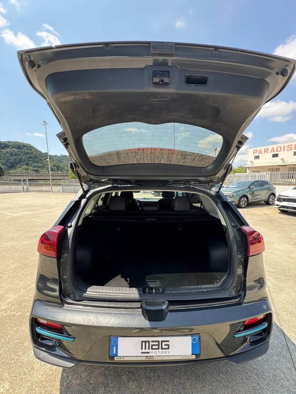 Kia e-Niro usata a Cosenza (7)