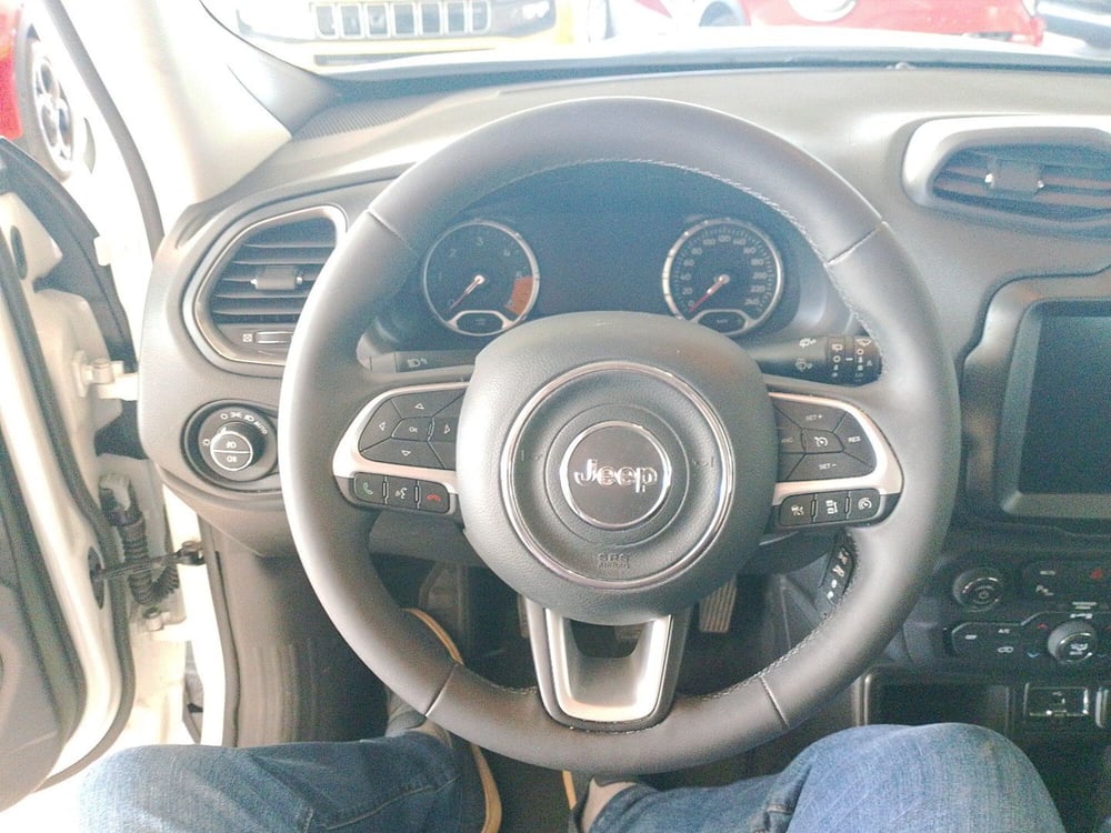 Jeep Renegade usata a Lecce (20)