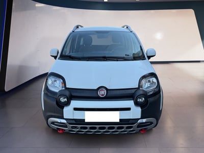 Fiat Panda 1.0 firefly hybrid s&amp;s 70cv 5p.ti del 2022 usata a Torino