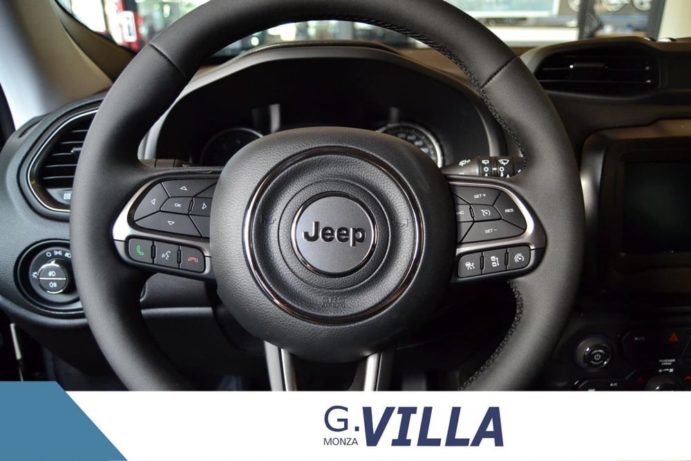 Jeep Renegade usata a Monza e Brianza (12)