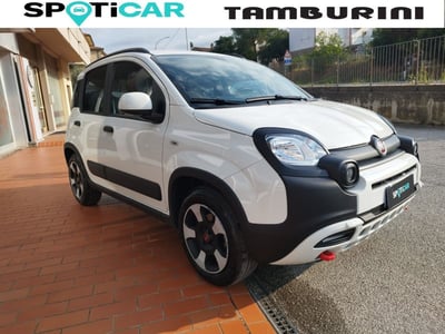 Fiat Panda Cross Cross 1.0 FireFly S&amp;S Hybrid del 2024 usata a Cortona