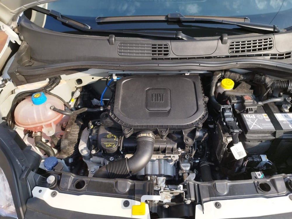 Fiat Panda Cross usata a Arezzo (16)
