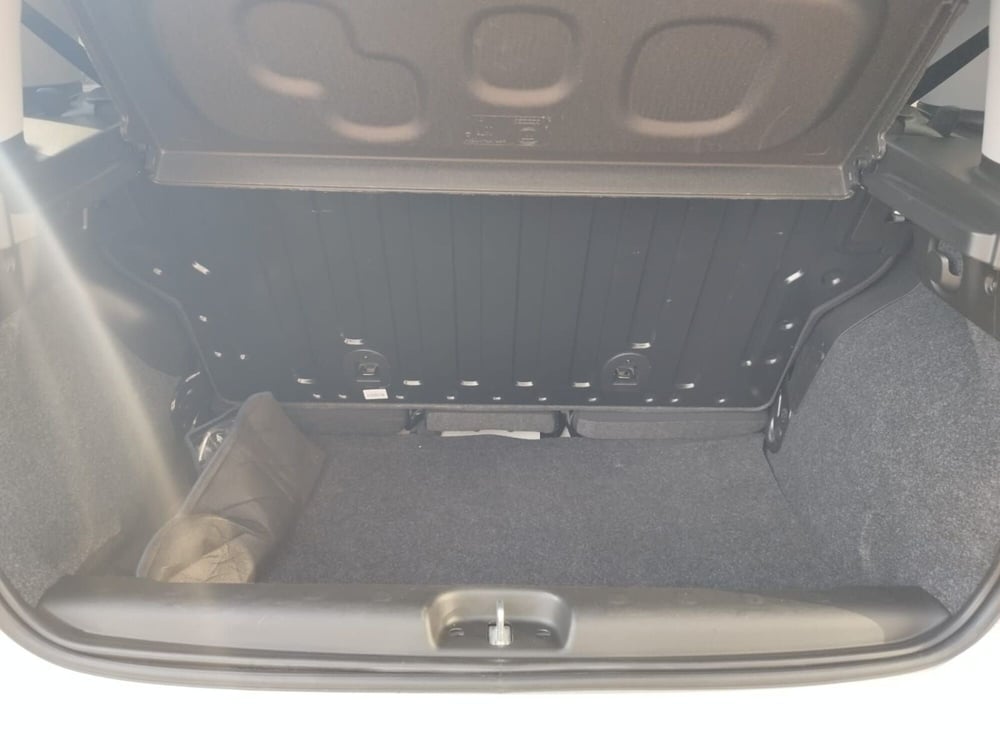 Fiat Panda Cross usata a Arezzo (19)