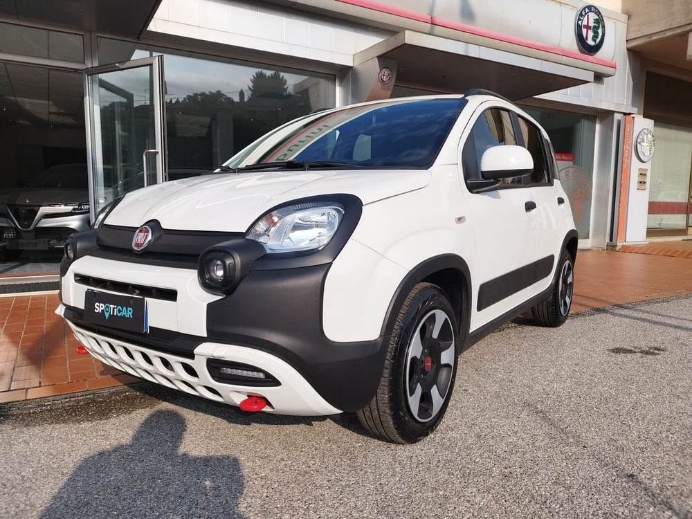 Fiat Panda Cross usata a Arezzo (3)