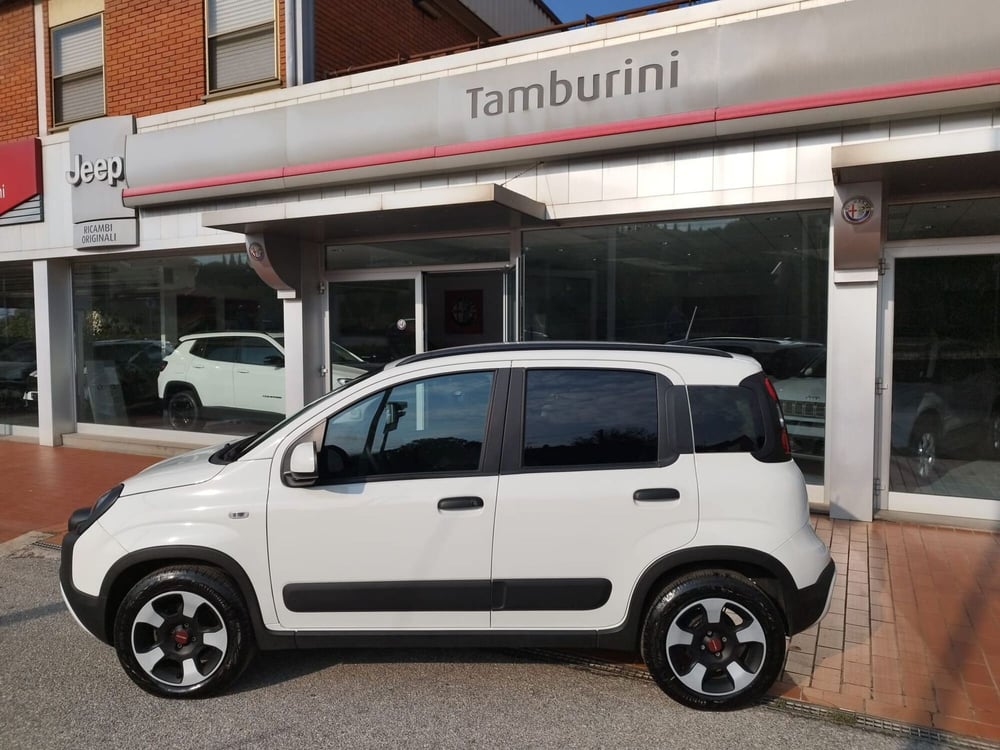 Fiat Panda Cross usata a Arezzo (4)