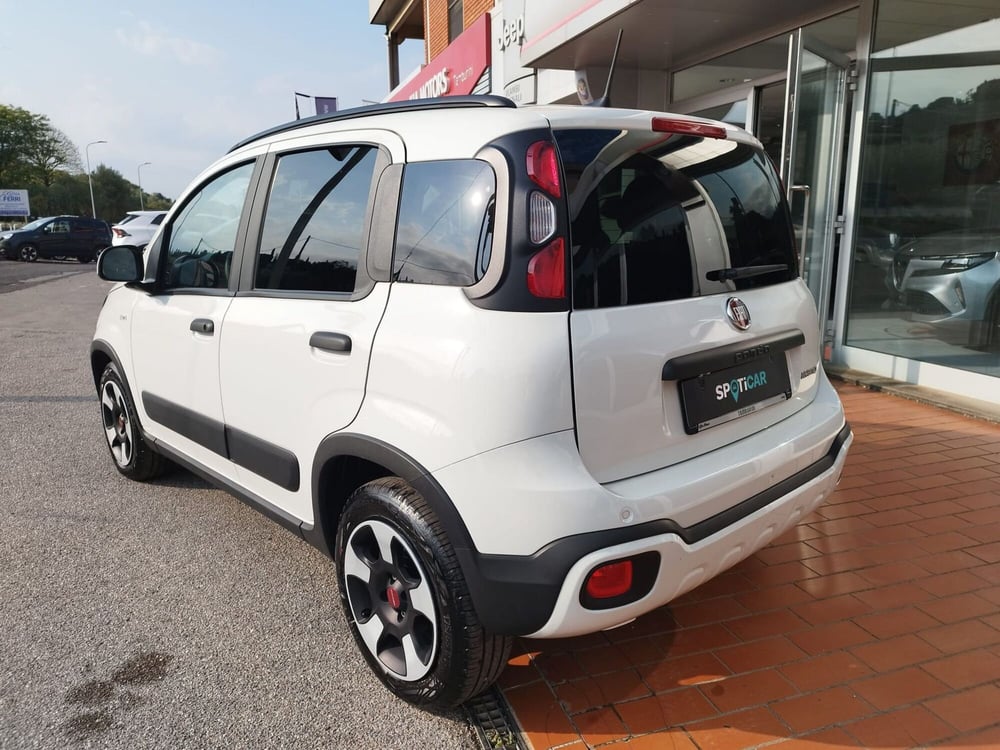 Fiat Panda Cross usata a Arezzo (6)