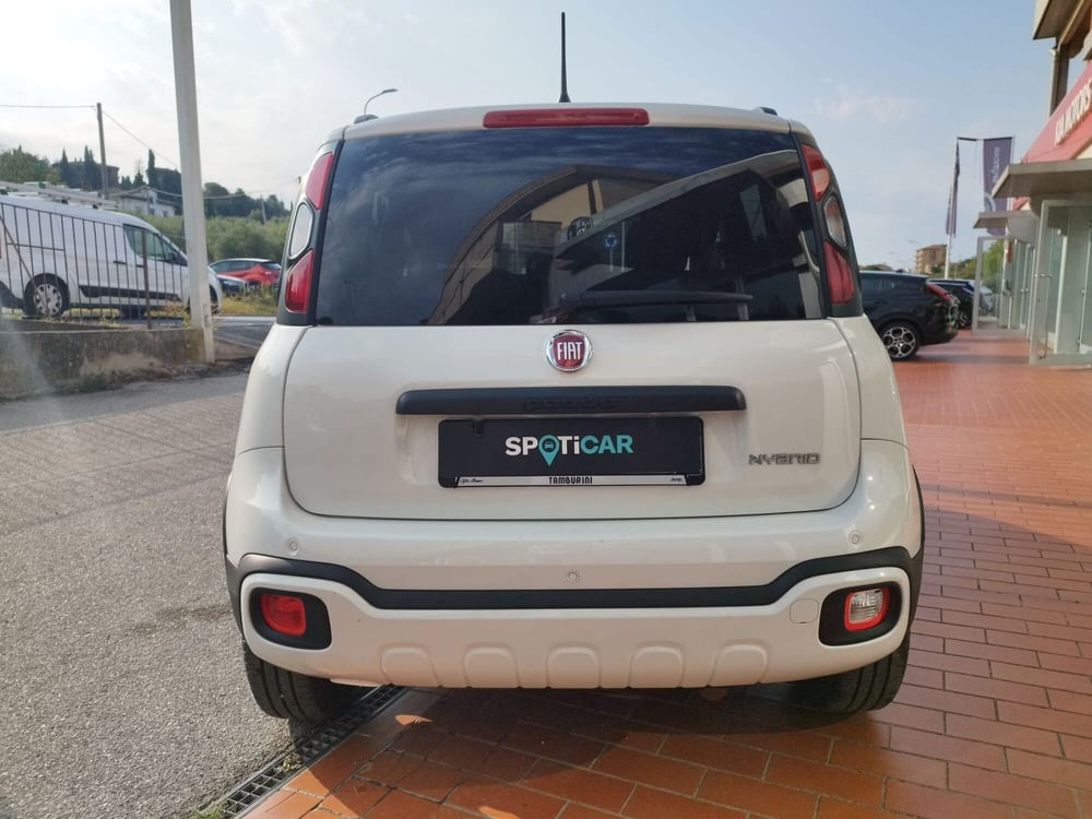 Fiat Panda Cross usata a Arezzo (7)