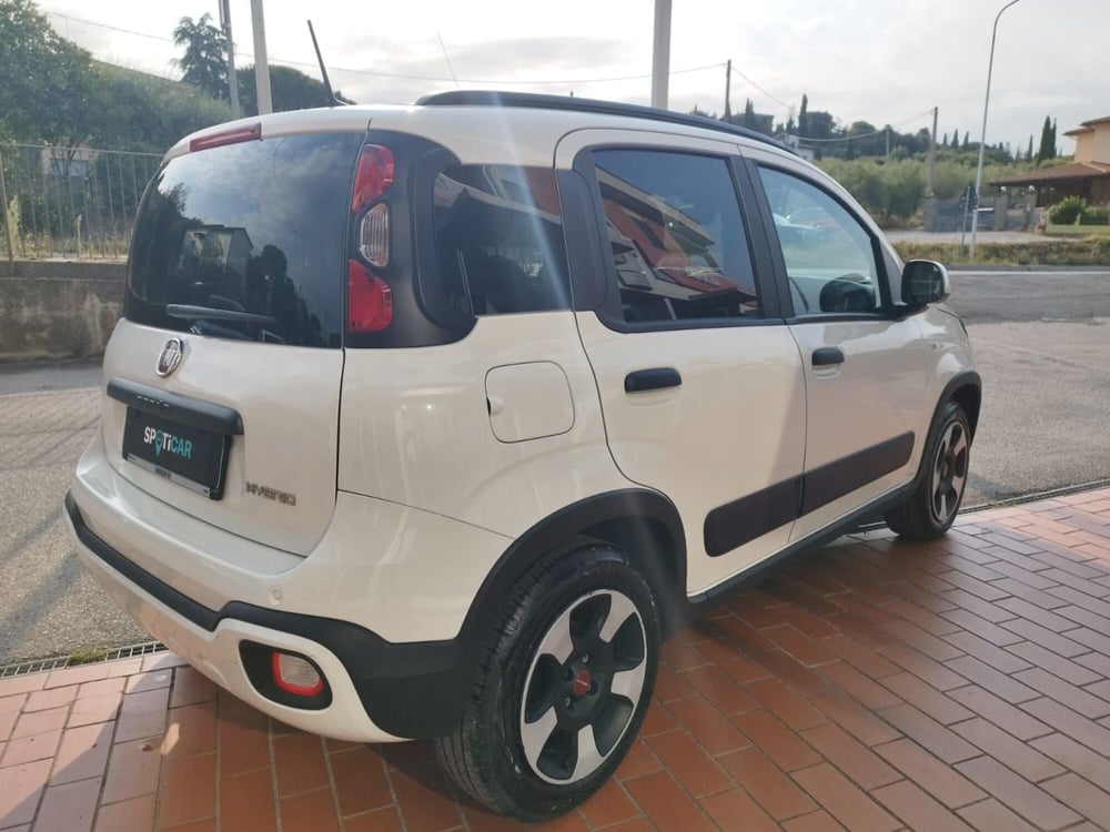 Fiat Panda Cross usata a Arezzo (8)