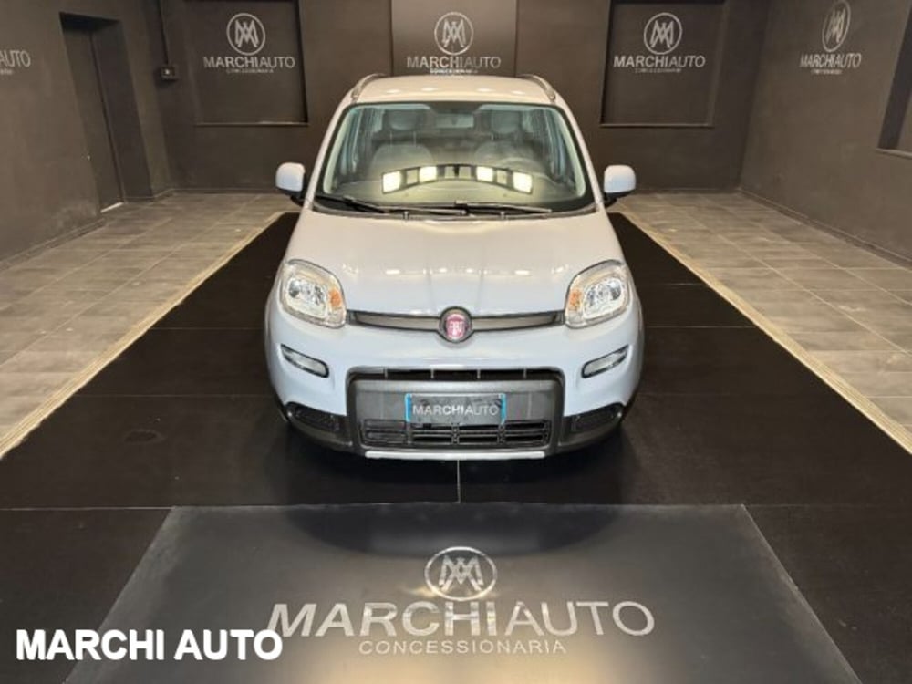 Fiat Panda usata a Perugia (2)