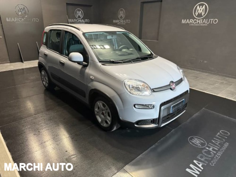 Fiat Panda usata a Perugia (3)