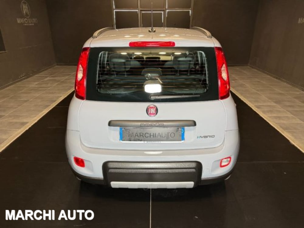 Fiat Panda usata a Perugia (6)