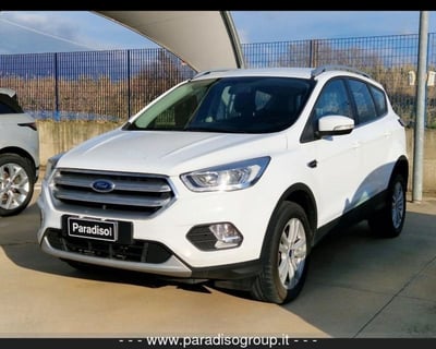 Ford Kuga 2.0 TDCI 120 CV S&amp;S 2WD Powershift Business del 2019 usata a Lamezia Terme