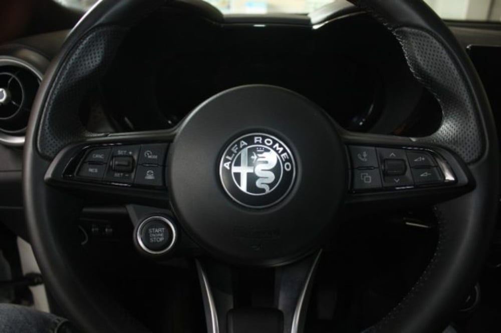 Alfa Romeo Tonale usata a Viterbo (11)
