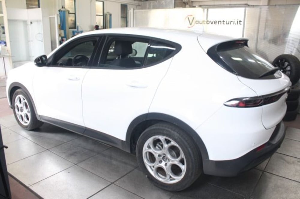 Alfa Romeo Tonale usata a Viterbo (4)