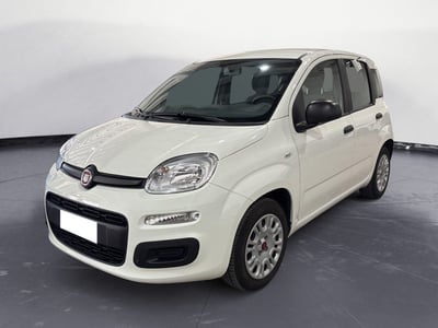 Fiat Panda 1.0 firefly hybrid Pop s&amp;s 70cv del 2021 usata a Sciacca