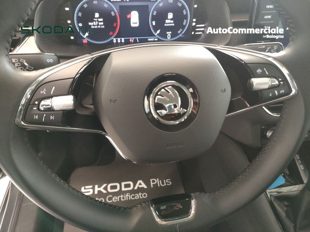 Skoda Kamiq usata a Bologna (11)