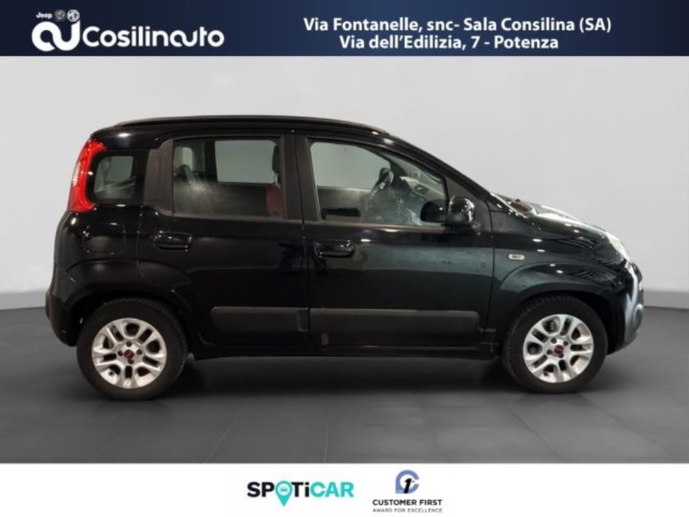 Fiat Panda usata a Salerno (6)