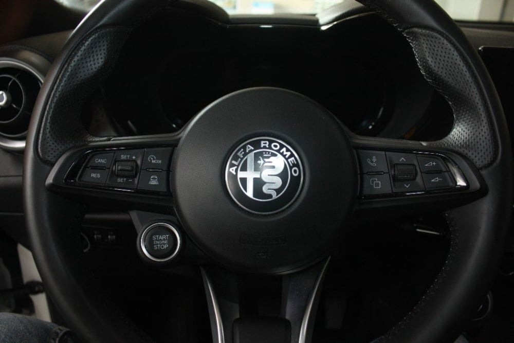 Alfa Romeo Tonale usata a Viterbo (11)