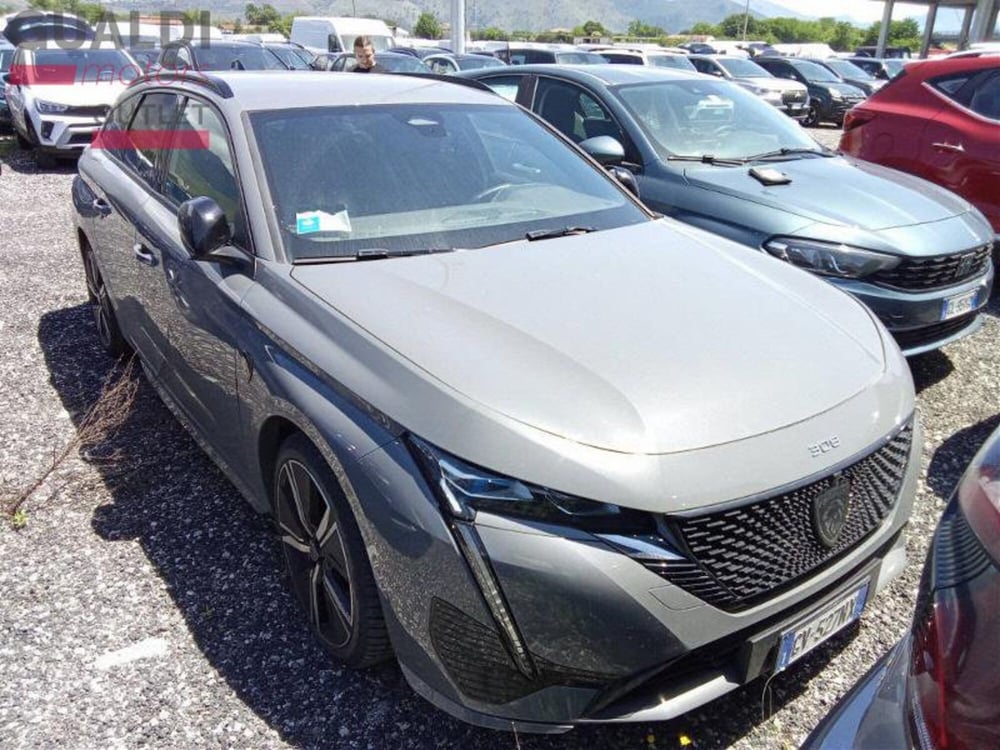 Peugeot 308 SW usata a Modena (2)