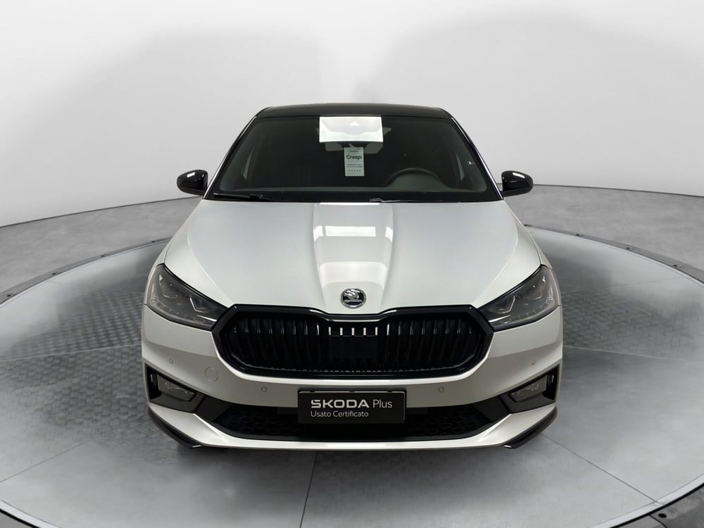 Skoda Fabia usata a Varese (2)