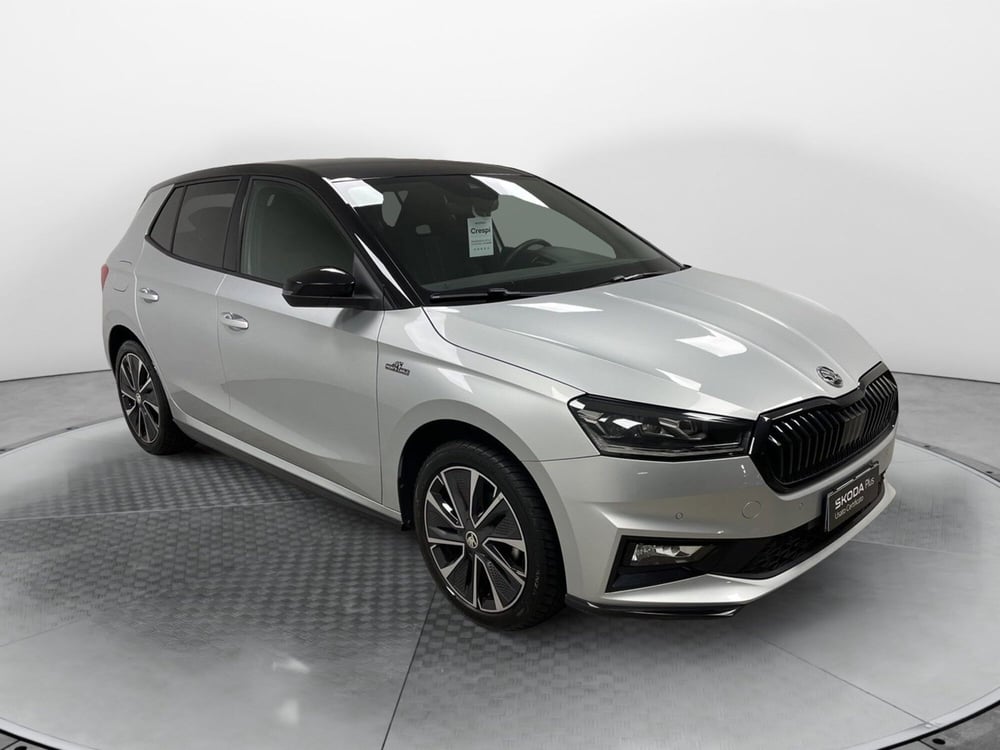 Skoda Fabia usata a Varese (3)
