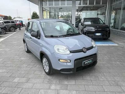 Fiat Panda 1.0 firefly hybrid Pop s&amp;s 70cv del 2022 usata a Magenta