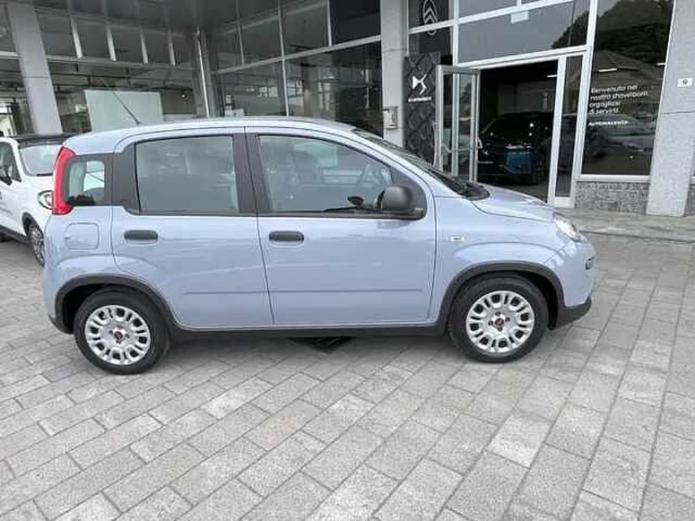 Fiat Panda usata a Milano (4)