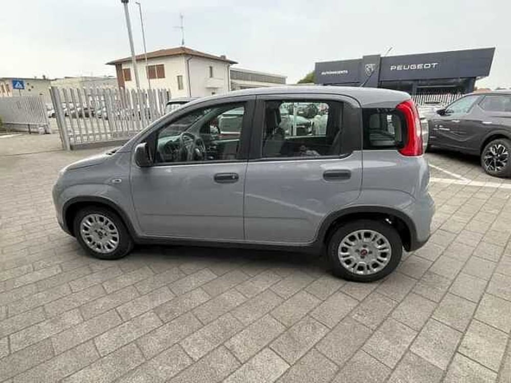 Fiat Panda usata a Milano (6)