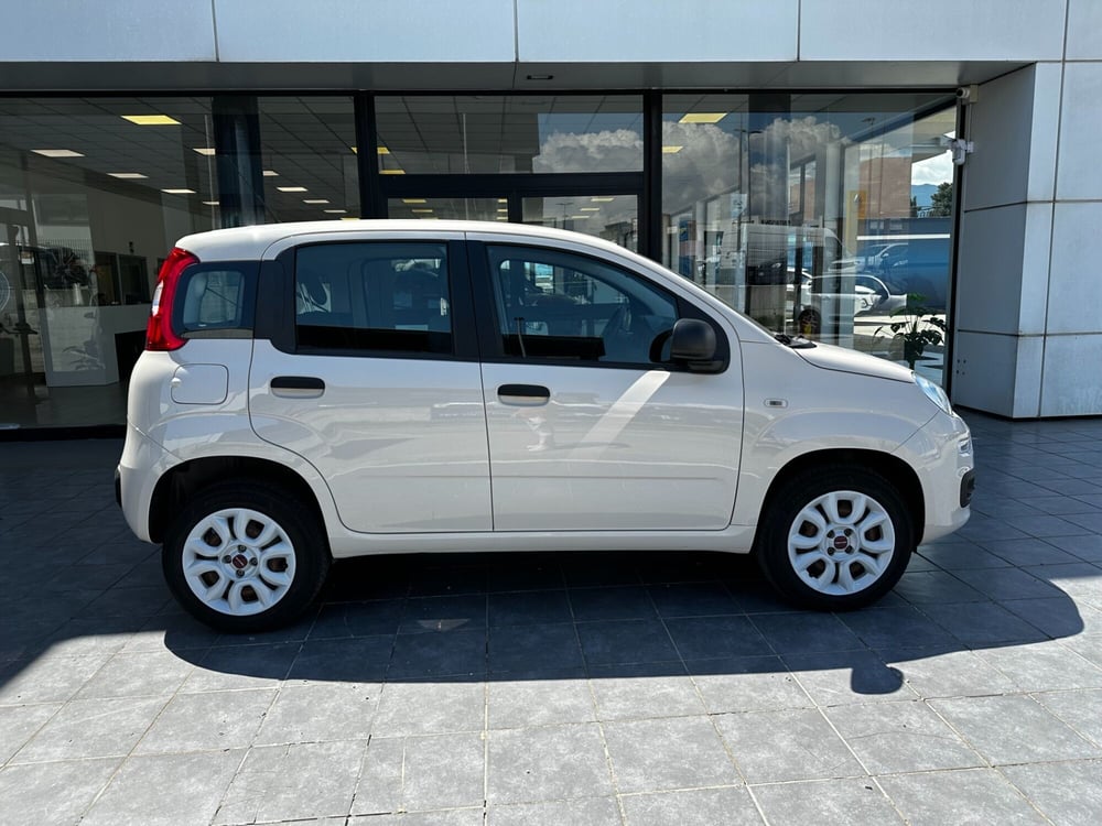 Fiat Panda usata a Frosinone (2)