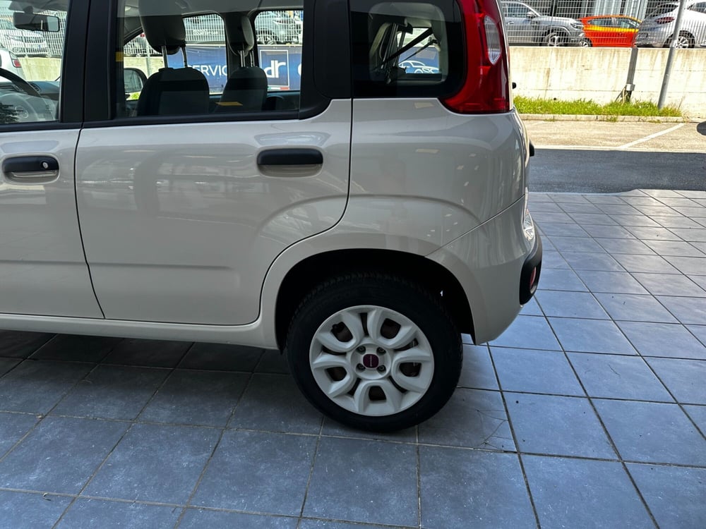 Fiat Panda usata a Frosinone (4)